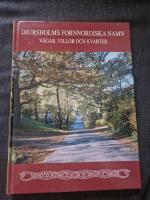Djursholms fornnordiska namn - v&auml;gar, villor och kvarter