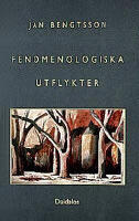 Fenomenologiska utflykter
