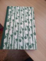 Den himmelska synen, ber&auml;ttelsen om Elisabeth...