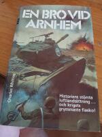  En bro vid Arnhemav