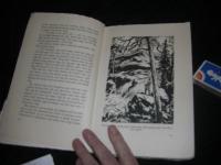 N&auml;r vildmark v&auml;cktes