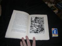 N&auml;r vildmark v&auml;cktes