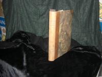 En v&auml;rld i v&auml;ntan - S&aring;dd och sk&ouml;rd i m&auml;nniskohistorien