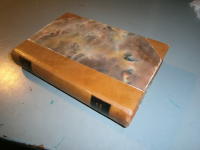 samh&auml;llets olycksbarn band 3