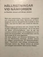 H&auml;llristningar vid N&auml;mforsen