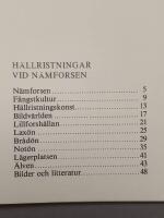 H&auml;llristningar vid N&auml;mforsen