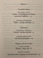 Ett nytt spr&aring;k : ess&auml;er om ord och begrepp hos Vilhelm Ekelund