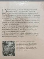 Den svenska tuvan : min farfars historia och andra ber&auml;ttelser fr&aring;n hall&auml;ndsk glesbygd