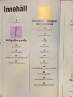 Kalligrafiskolan : [en steg-f&ouml;r-steg guide i bokst&auml;vernas underbara v&auml;rld]