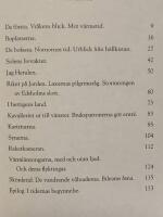 Jag, Herulen : En v&auml;rml&auml;ndsk historia