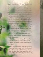 Maten som botar : minska risken f&ouml;r sjukdomar och h&aring;ll dig frisk