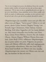 Obegr&auml;nsningens ljus : Texter om poesi