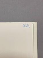 Obegr&auml;nsningens ljus : Texter om poesi