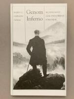 Genom Inferno : bildens magi och Strindbergs f&ouml;rnyelse