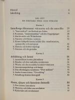 Genom Inferno : bildens magi och Strindbergs f&ouml;rnyelse