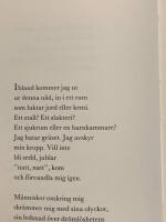 Stj&auml;rnan i periferin : dikter