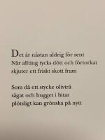 Stj&auml;rnor, dr&ouml;mmar, m&ouml;rka vatten : dikter