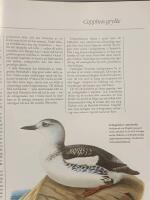 Br&ouml;derna von Wrights f&aring;glar