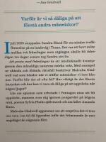 Att prata med fr&auml;mlingar : vad vi borde k&auml;nna till om de m&auml;nniskor vi inte k&auml;nner