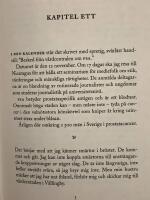 Dagar av dimma, dagar av sol : n&auml;r livet skakas om av en cancerdiagnos