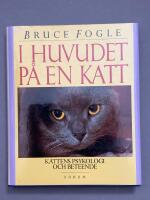 I huvudet p&aring; en katt
