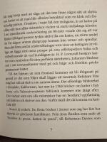 I huvudet p&aring; en katt