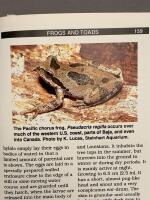 The proper care of Amphibians