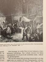 Forsmarks bruk : en uppl&auml;ndsk herrg&aring;rdsmilj&ouml;