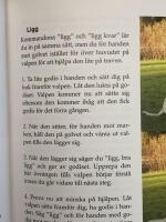 Lyckas med hunden : V&auml;gen till ett framg&aring;ngsrikt f&ouml;rsta &aring;r