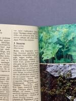 Kustflora : best&auml;mningsbok f&ouml;r 376 arter