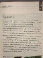 Fjordingen : arvet fr&aring;n vikingarna