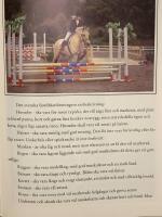 Fjordingen : arvet fr&aring;n vikingarna