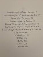 Vandra i Frankrike och Spanien l&auml;ngs medeltida pilgrimsv&auml;gar