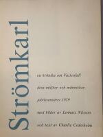 Str&ouml;mkarl - en kr&ouml;nika om Vattenfall