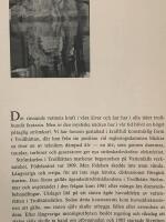 Str&ouml;mkarl - en kr&ouml;nika om Vattenfall