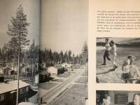 Str&ouml;mkarl - en kr&ouml;nika om Vattenfall