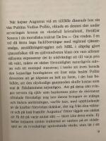 Spisnosigheter : essayer