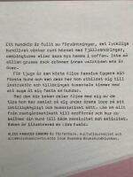 Handbok f&ouml;r hund&auml;gare