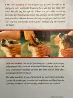 Allt om hunden