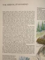 The first Eden. The mediterranean world and man