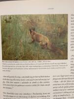 Bruno Liljefors : naturen som livsrum