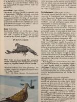 V&aring;rt svenska landskap : Det b&auml;stas naturlexikon