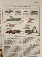 V&aring;rt svenska landskap : Det b&auml;stas naturlexikon