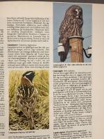 V&aring;rt svenska landskap : Det b&auml;stas naturlexikon