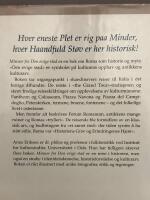 Minner fra den evige stad - skandinavers reiser til Roma 1850-1900