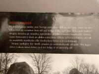 Heliga marker : forna dagars platser f&ouml;r offer, rit och b&ouml;n