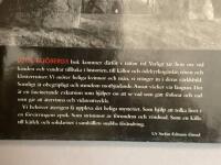 Heliga marker : forna dagars platser f&ouml;r offer, rit och b&ouml;n