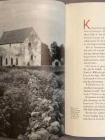 Heliga marker : forna dagars platser f&ouml;r offer, rit och b&ouml;n