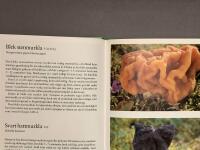 Nylen, B/V&aring;ra matsvampar