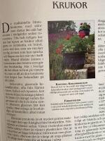 Tr&auml;dg&aring;rd i krukor